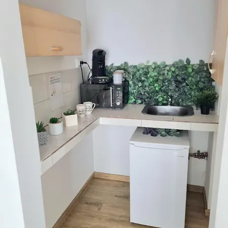 Exer Iii Apartment *