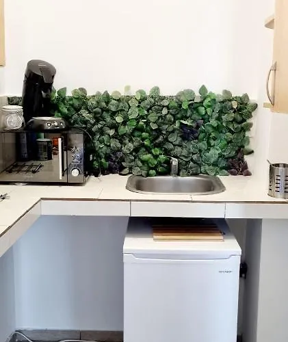 Exer Iii Apartament Bucureşti